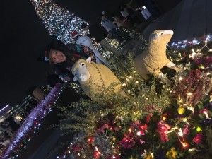 一握の砂 佐伯由布紀 PBmaa MCchin 音楽 文学 SUBARU スバル 大商談会 